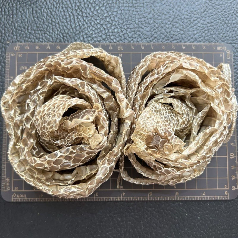 自然脱落一整条有头有尾蛇蜕蛇退龙衣蛇皮长虫皮青龙衣蛇壳