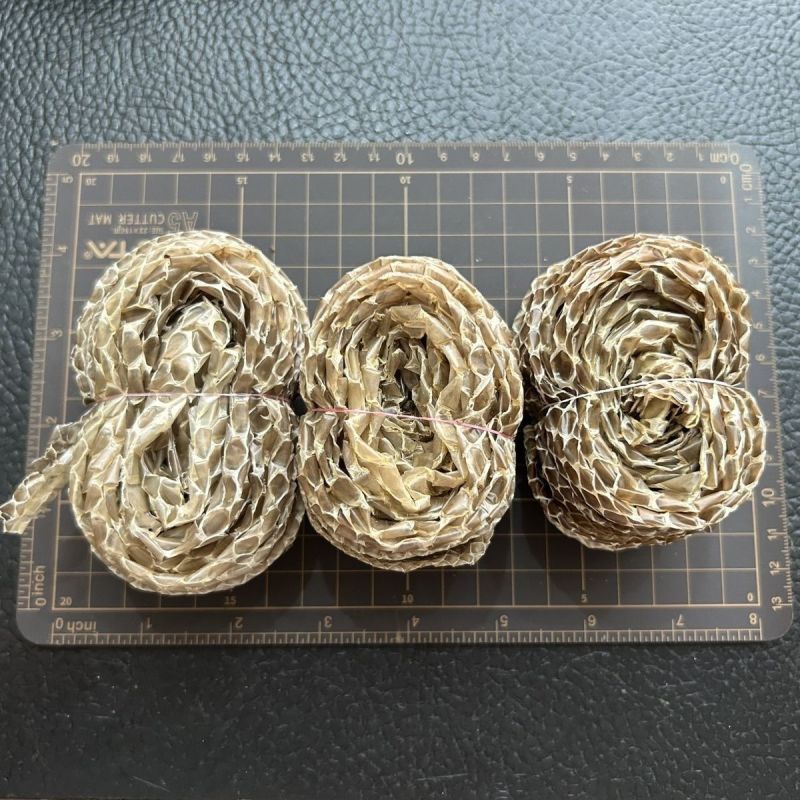 自然脱落一整条有头有尾蛇蜕蛇退龙衣蛇皮长虫皮青龙衣蛇壳
