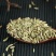 茴香子1公斤香料小回茴香籽烧菜调料火锅卤料