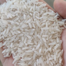 丰良优、黄花粘、碎米大量供应，25年新米。