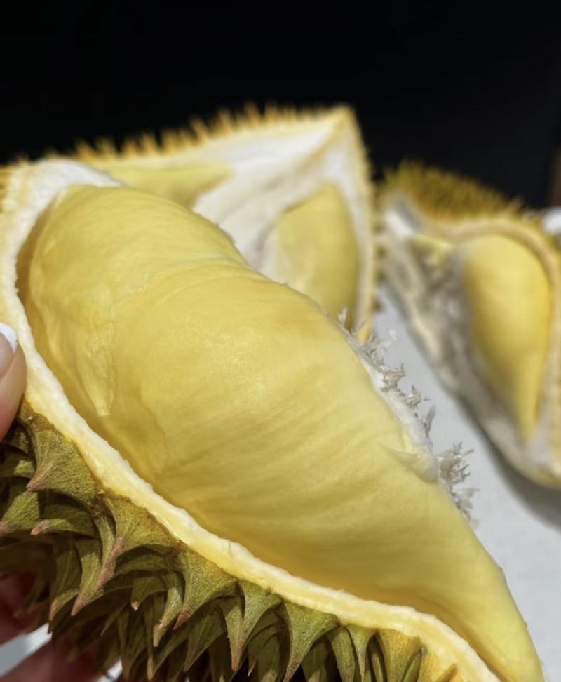 金枕榴莲产地直销，一手批发货源，A果保5房，坏果包赔