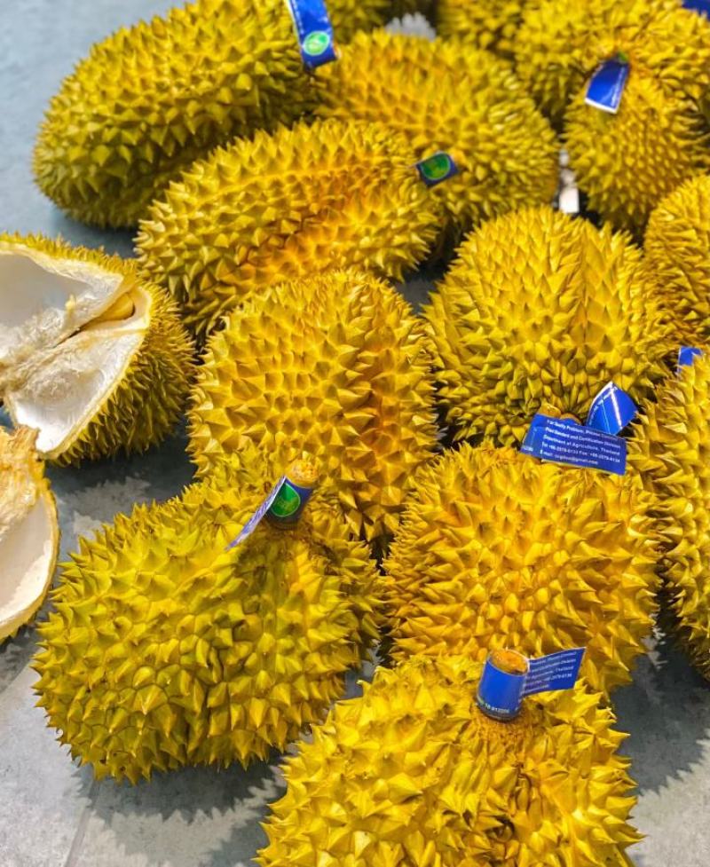 金枕榴莲产地直销，一手批发货源，A果保5房，坏果包赔