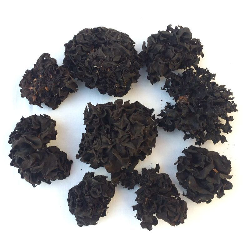 中药材血耳血色银耳血木耳茶木耳褐血耳干货血耳