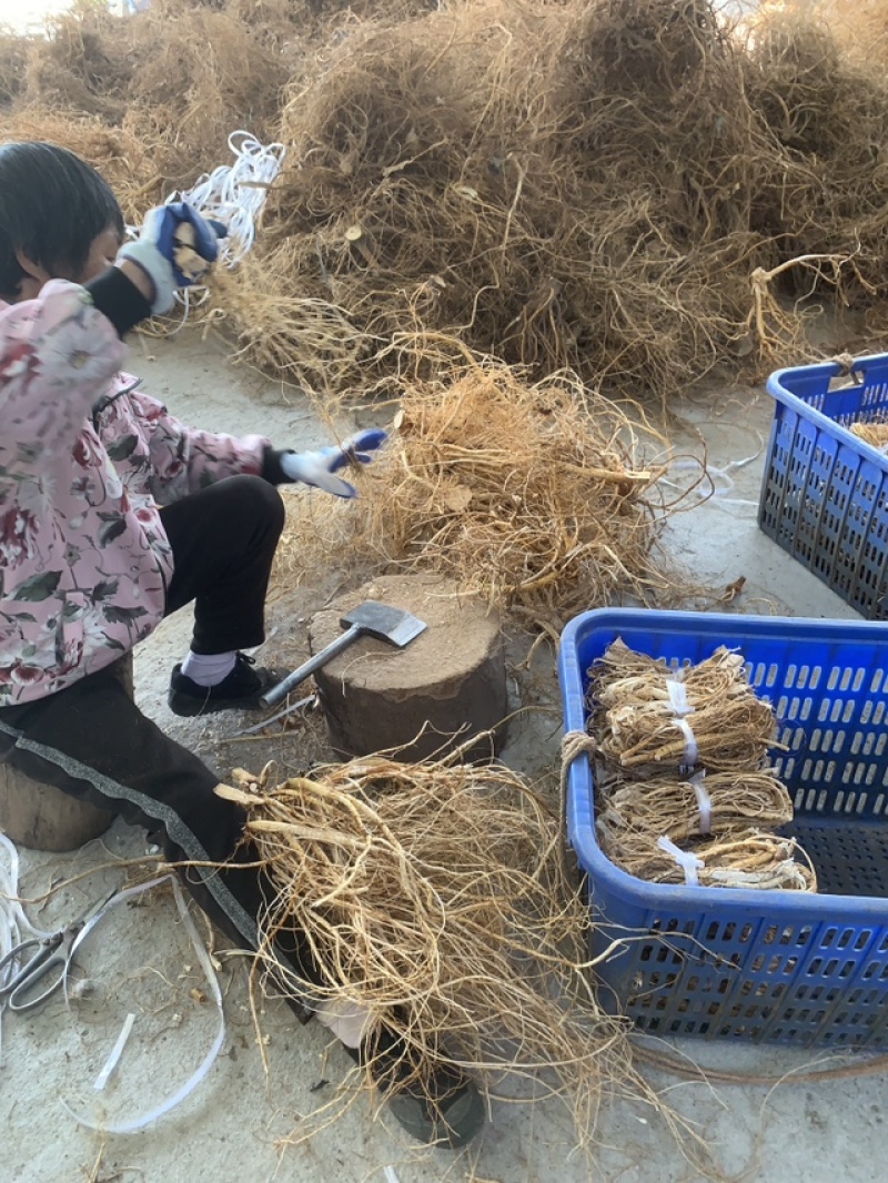 粤北高山五指毛桃，无硫干货香味浓工厂直发