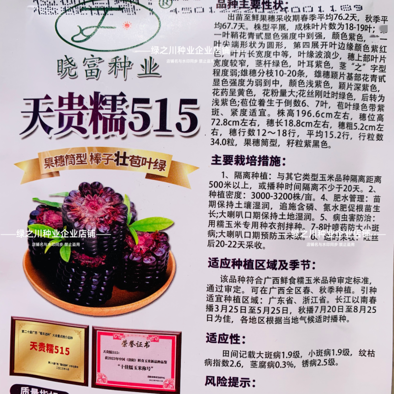 天贵糯515黑玉米种子紫黑色玉米种籽软糯香粘黑糯玉米种子