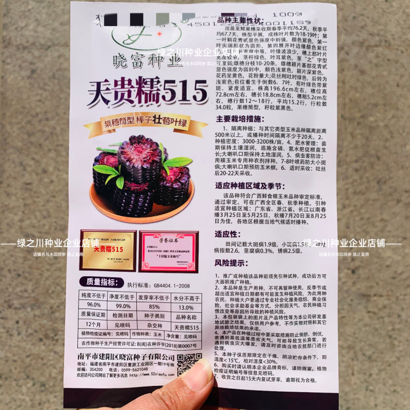 天贵糯515黑玉米种子紫黑色玉米种籽软糯香粘黑糯玉米种子