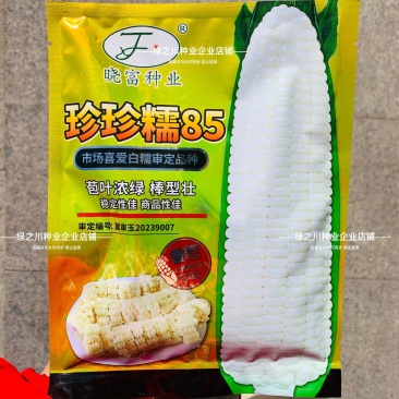 晓富玉米种子鲜食珍珍糯85白糯玉米种籽软糯鲜香高产大棒