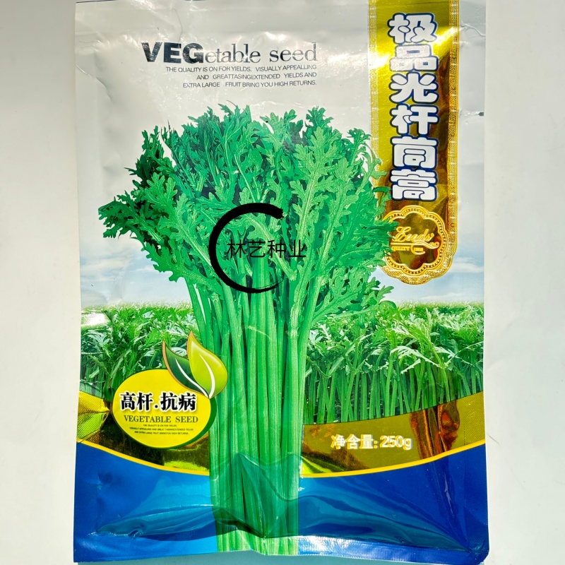 **光杆茼蒿种子高产稳产耐热耐寒抗病爽脆味香优质茼蒿