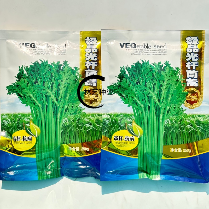 **光杆茼蒿种子高产稳产耐热耐寒抗病爽脆味香优质茼蒿