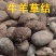 新货牛羊草结西格格草结羊草结胲子