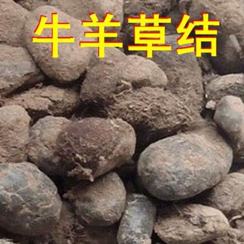 新货牛羊草结西格格草结羊草结胲子
