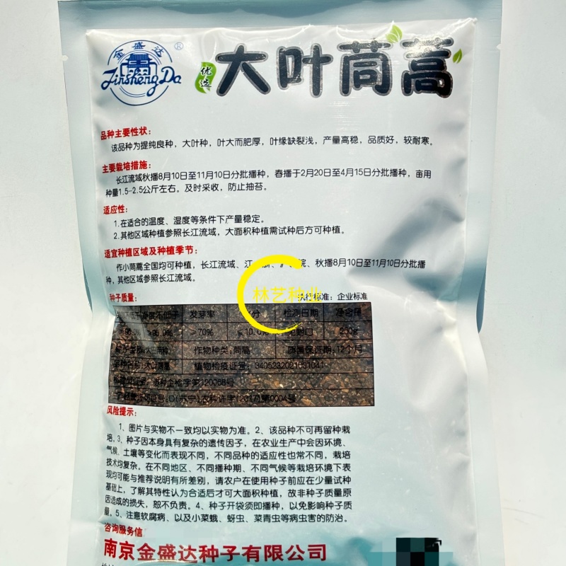 大叶茼蒿种子耐抽苔耐寒四季种植可盆栽可阳台种植茼蒿菜蔬