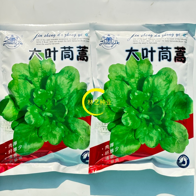 大叶茼蒿种子耐抽苔耐寒四季种植可盆栽可阳台种植茼蒿菜蔬