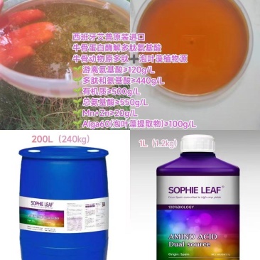 西班牙艾普原装进口牛骨胶原蛋白多肽氨基酸