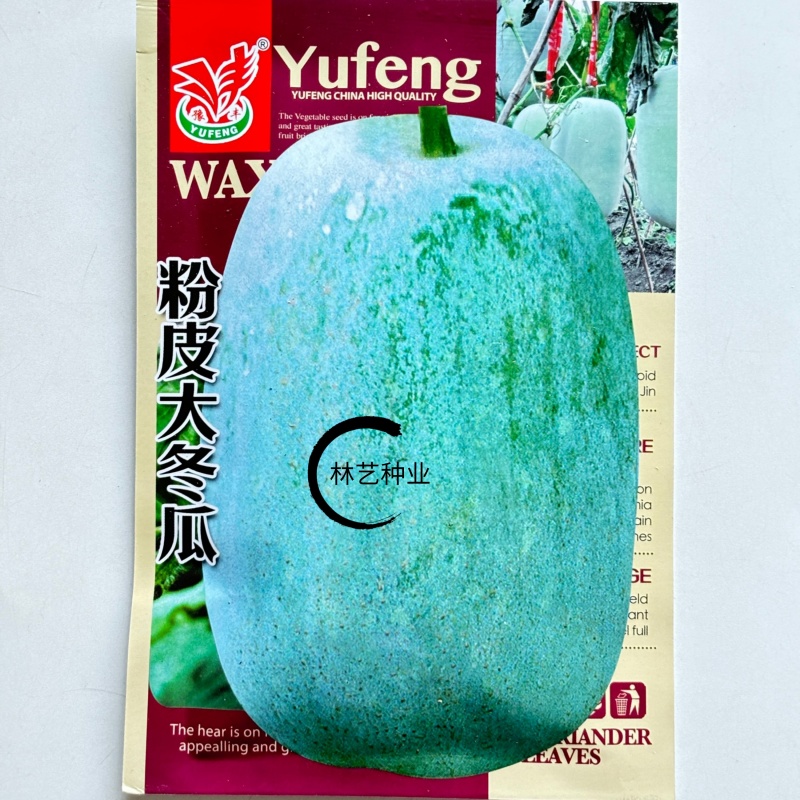 大粉皮大冬瓜种子适合庭院菜园种植蔬菜种子好吃肉厚