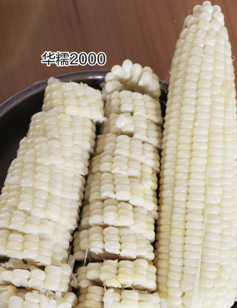 华耘2000玉米种子白糯玉米种籽高产白色玉米种子香甜软糯