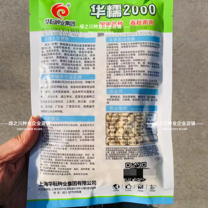 华耘2000玉米种子白糯玉米种籽高产白色玉米种子香甜软糯