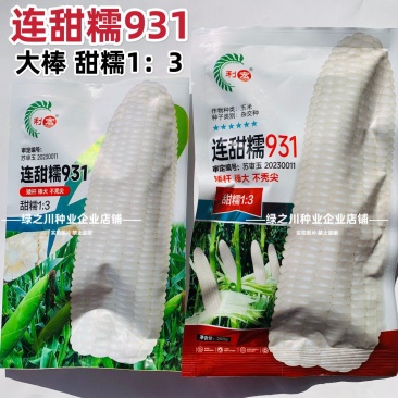 高产大棒甜糯玉米连甜糯931玉米种子矮杆白甜糯玉米种