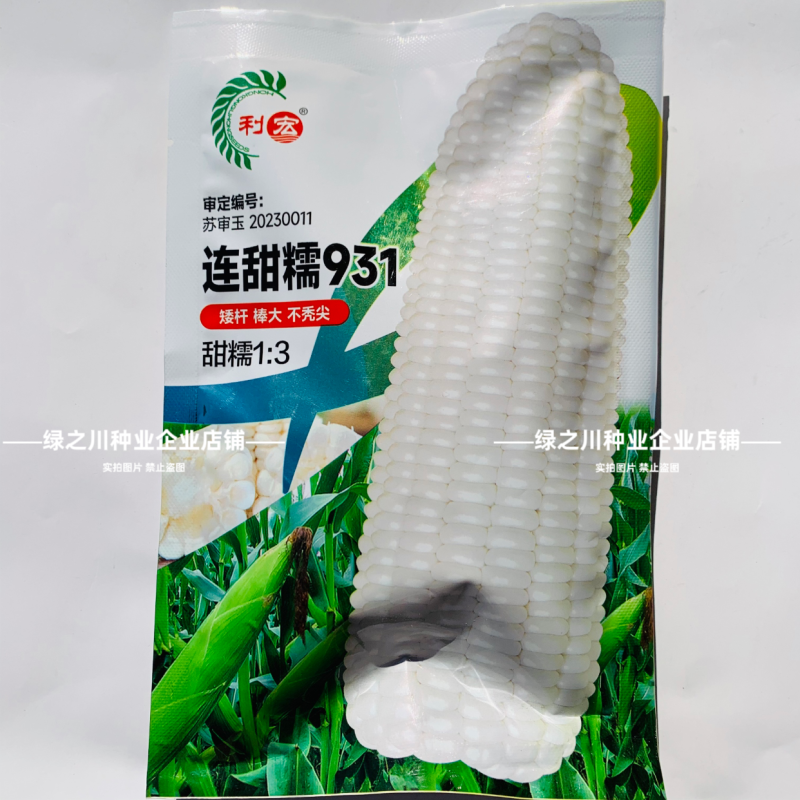 高产大棒甜糯玉米连甜糯931玉米种子矮杆白甜糯玉米种