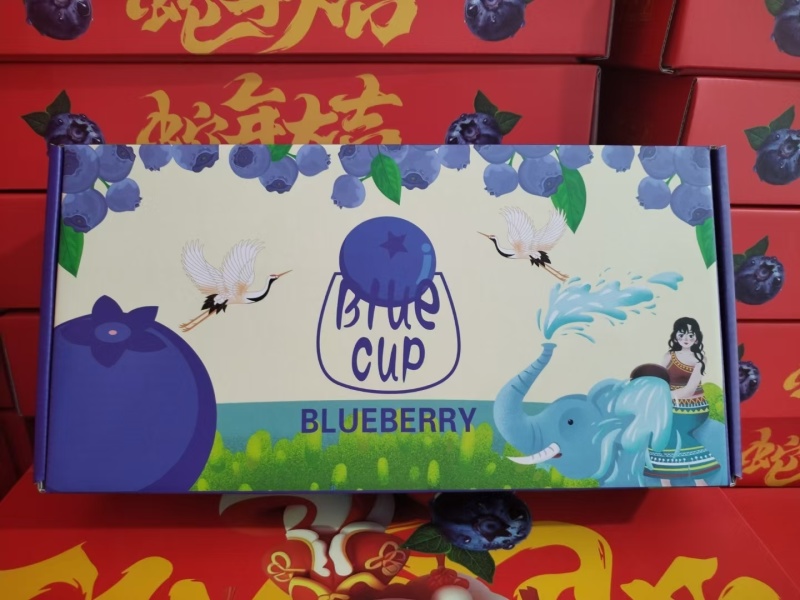 果园直发包邮】云南澄江精品新鲜蓝莓高端水果脆甜花香L25