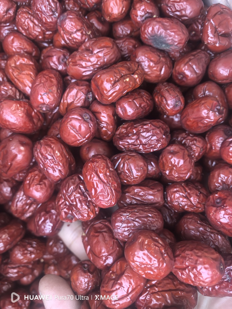 枣枣大量现货产地直接发货新疆大货