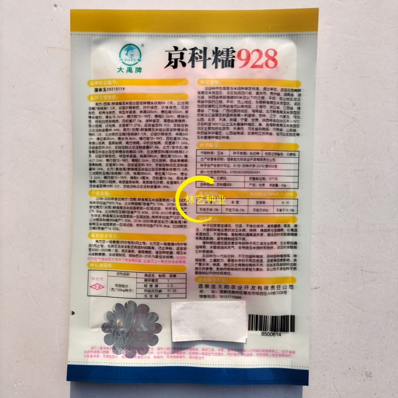 京科糯928白玉米种子高产抗病杂交一代国审白糯玉米种籽