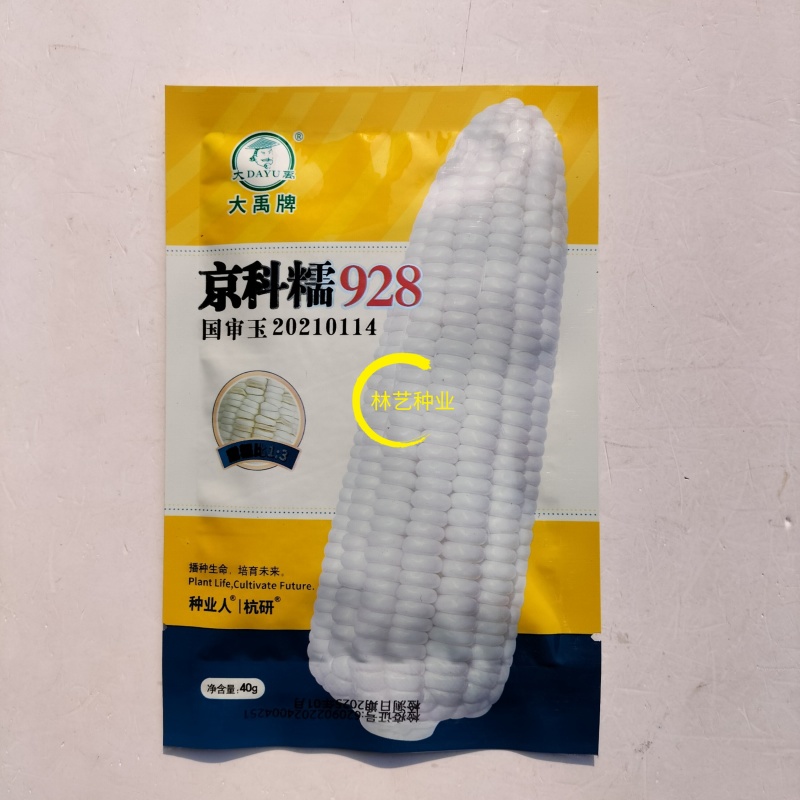 京科糯928白玉米种子高产抗病杂交一代国审白糯玉米种籽