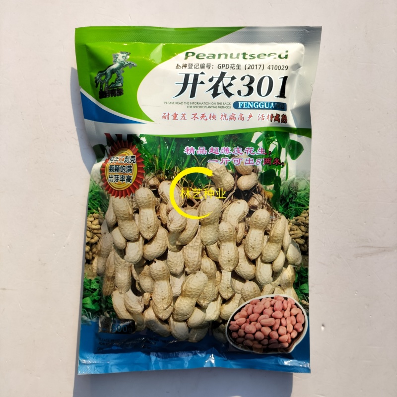 开农301花生种子耐重茬抗病高产活杆成熟油食型花生种子