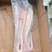 牛鞭，一手货源，长期有货，量大老板来谈
