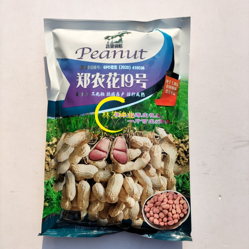 郑农花19号花生种子高产耐重茬不死秧活杆成熟高油抗病薄皮