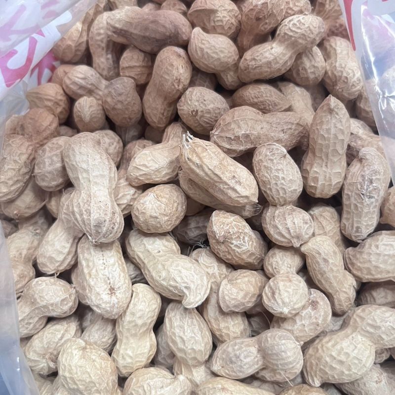 信研航花油多多粤油52花生种子优质高产高油抗病抗倒不早衰
