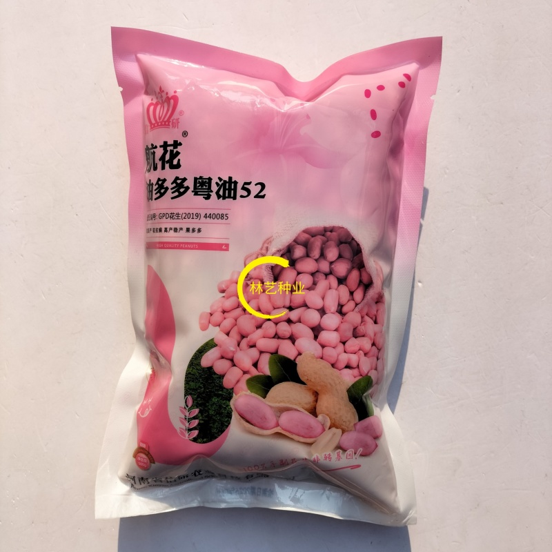 信研航花油多多粤油52花生种子优质高产高油抗病抗倒不早衰