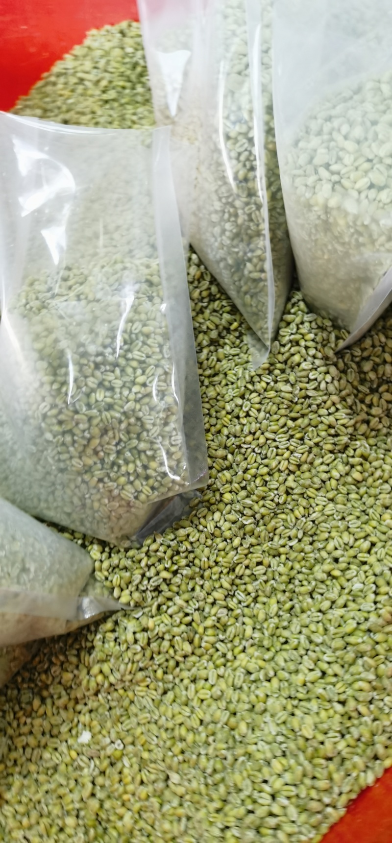 青麦仁源头厂家青麦粒青小麦量大从优质量保证欢迎咨询
