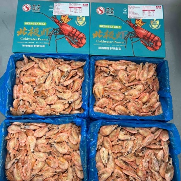 批发价顺丰包邮3斤/箱世界海老北极熊甜虾头籽多规格现货