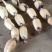 【实力推荐】优质鄂莲6号现挖现发精品莲藕整车配运发货