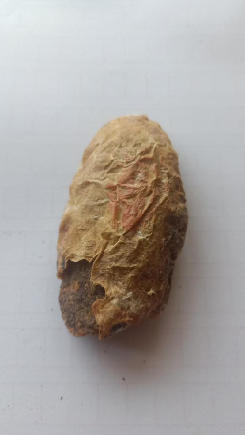 鸡宝产地直供大量有货欢迎前来看货品质保证