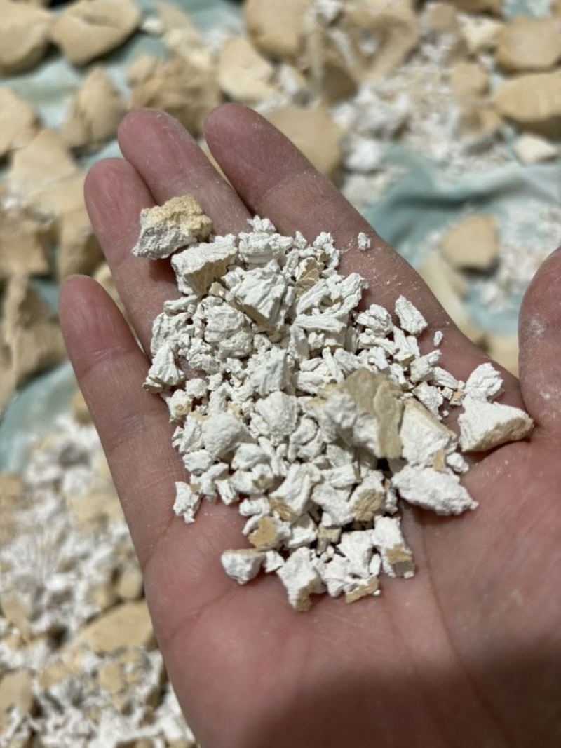 新鲜葛根长期供应正宗品质量大从优直供产地