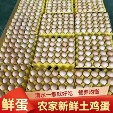 自家散养土鸡蛋欢迎各位老板来采购今日价格140一件