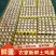 自家散养土鸡蛋欢迎各位老板来采购今日价格140一件