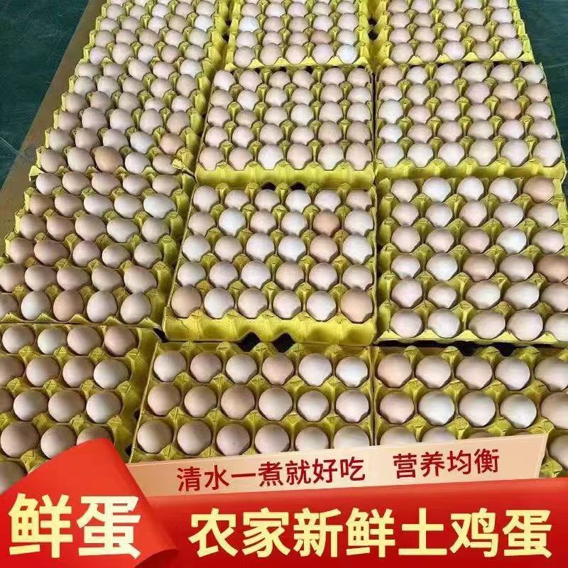 自家散养土鸡蛋欢迎各位老板来采购今日价格140一件