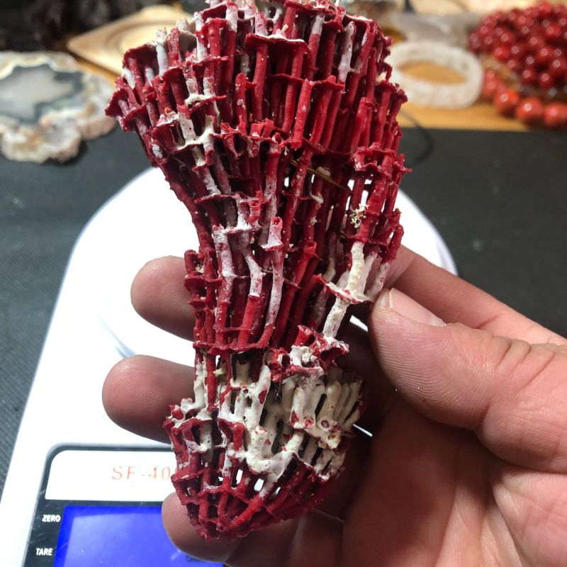 中药材珊瑚珊瑚矿石珊瑚