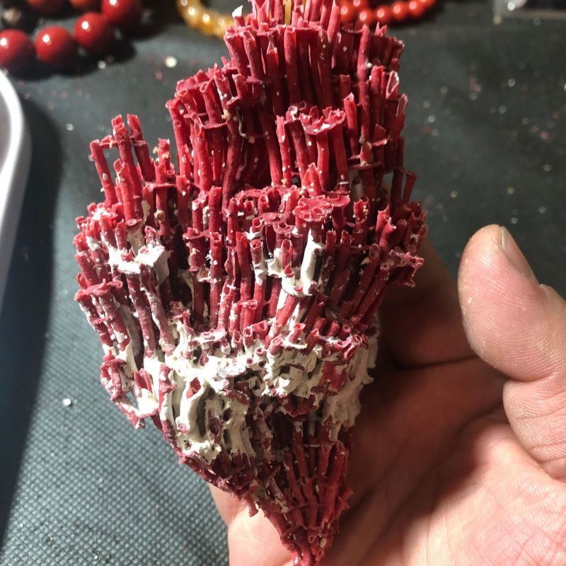 中药材珊瑚珊瑚矿石珊瑚