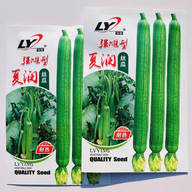 夏润丝瓜种子耐热长香丝瓜强雌特长丝瓜种籽早熟长棒高产节节
