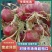 精品洋葱云南紫皮洋葱大量供应，货源充足，现挖先发发市场
