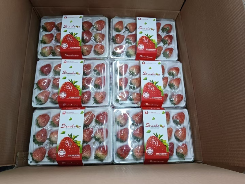 甜宝草莓/安徽草莓/宁玉草莓/基地直发/全国冷链发货
