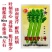 津南实芹3号芹菜种子香味浓郁黄绿色实心芹菜种子耐热夏芹