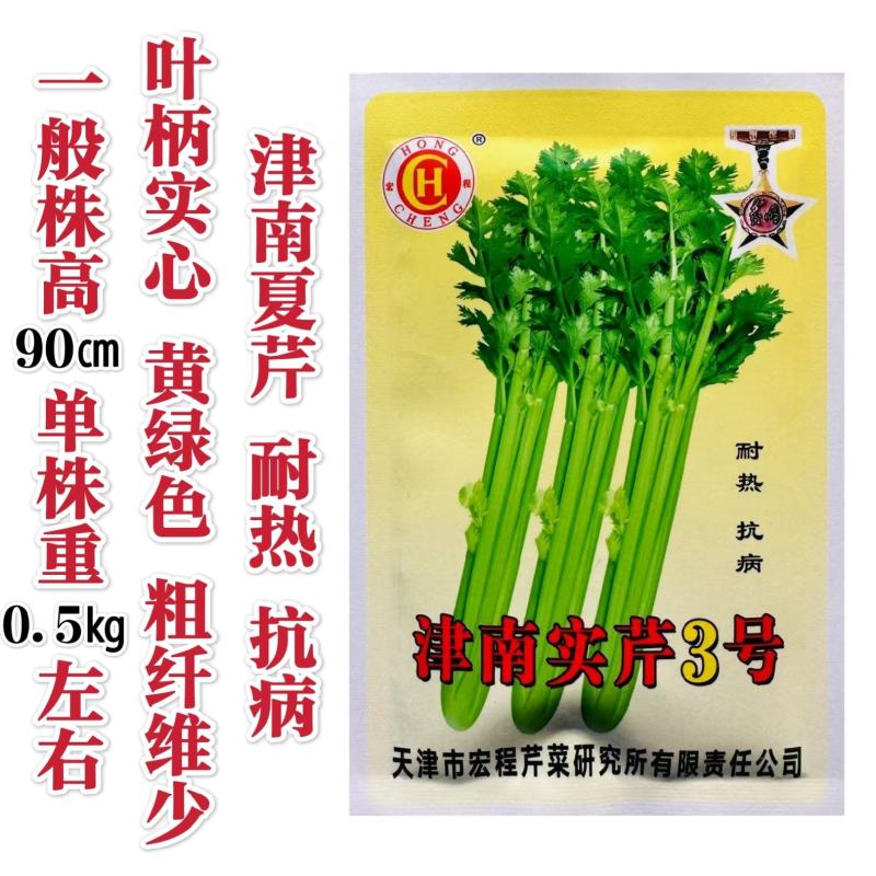 津南实芹3号芹菜种子香味浓郁黄绿色实心芹菜种子耐热夏芹