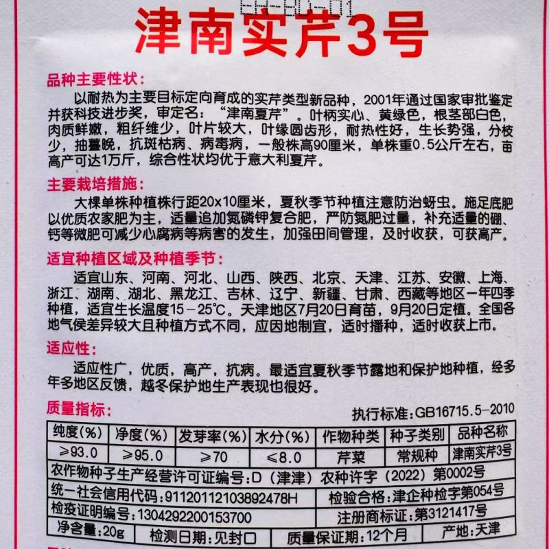 津南实芹3号芹菜种子香味浓郁黄绿色实心芹菜种子耐热夏芹