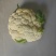 精选花菜浙江精选有机花菜自家种植量大从优