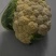 精选花菜浙江精选有机花菜自家种植量大从优